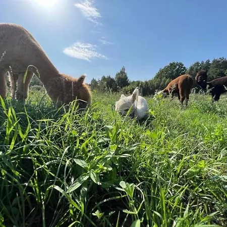 Zacisze Dom Do 10 Os Debowe Zacisze I Koral Lub Horyzont I Bryza Holiday home *