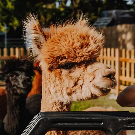 Zacisze Dom Do 10 Os Debowe Zacisze I Koral Lub Horyzont I Bryza *