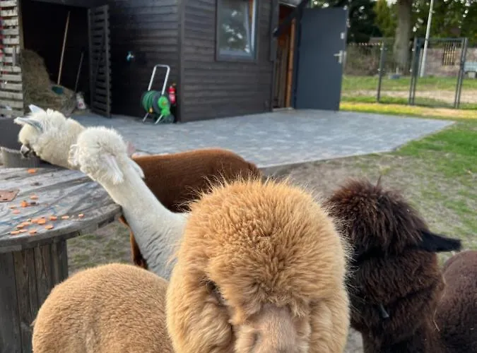 Zacisze Dom Do 10 Os Debowe Zacisze I Koral Lub Horyzont I Bryza Ulinia