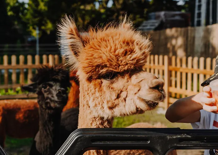 Zacisze Dom Do 10 Os Debowe Zacisze I Koral Lub Horyzont I Bryza *